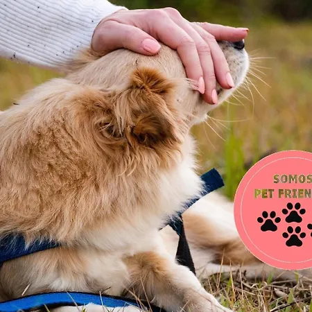 Casa Rugama Con Piscina De Verano En El Corazon De Cantabria Hébergement de vacances Arredondo