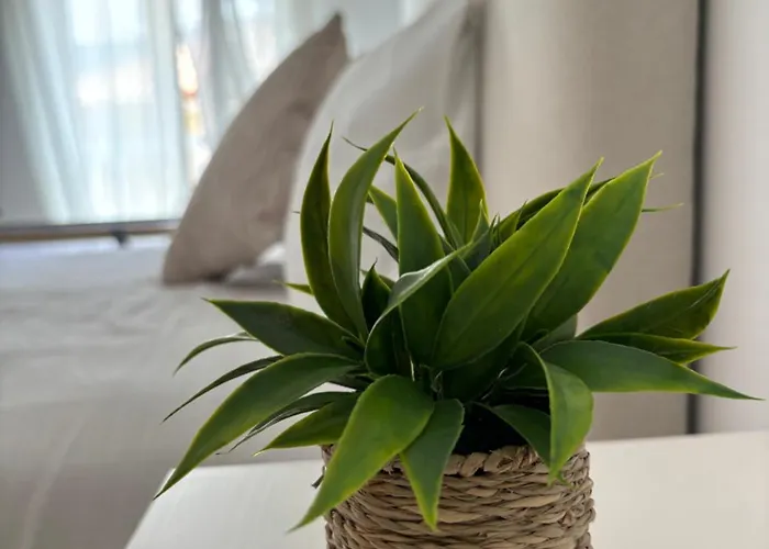 Casa Rugama Con Piscina De Verano En El Corazon De Cantabria Hébergement de vacances Arredondo