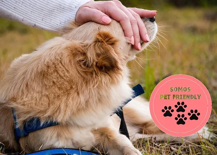 Casa Rugama Con Piscina De Verano En El Corazon De Cantabria Prázdninový dům Arredondo